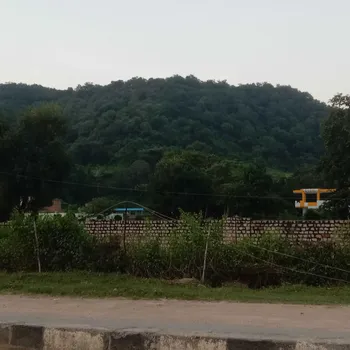 Rahul Kumar  - Best Home Tutor in Naveen Nagar, Kanpur